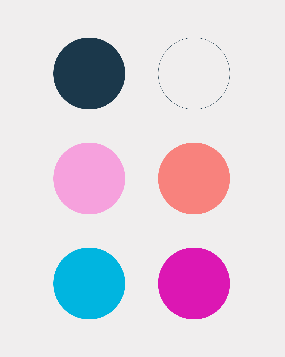 Zentra Brand Kit